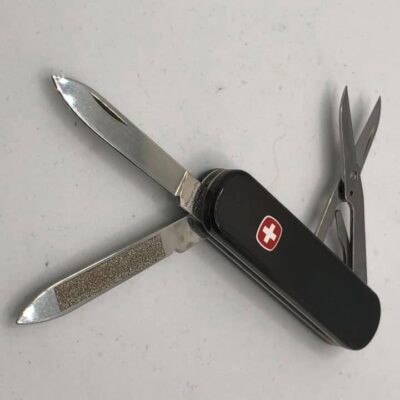 Wenger Esquire - Horn scales