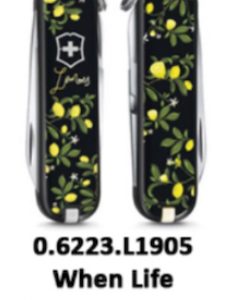 0.6223.L1905 When life gives you lemons